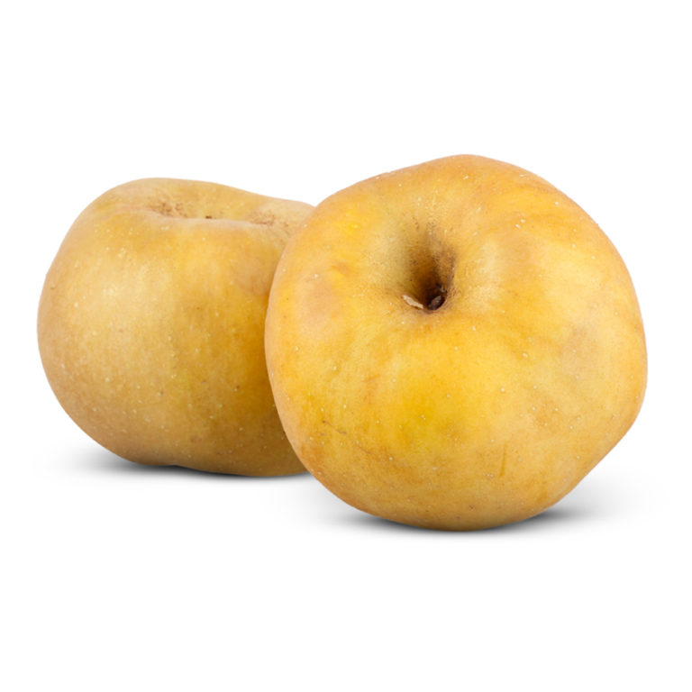 Maçã Reineta – Fruta Real